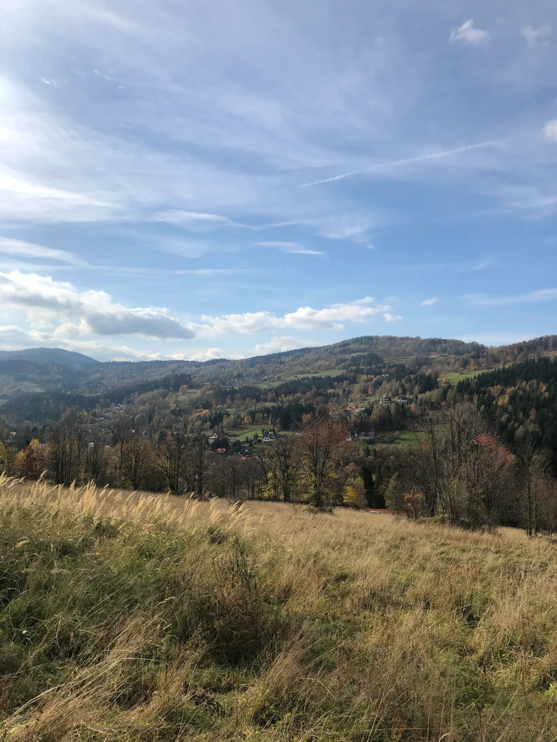 Działka w Zawoi-Mosorne — szeroka panorama pasma górskiego ze stoku terenu