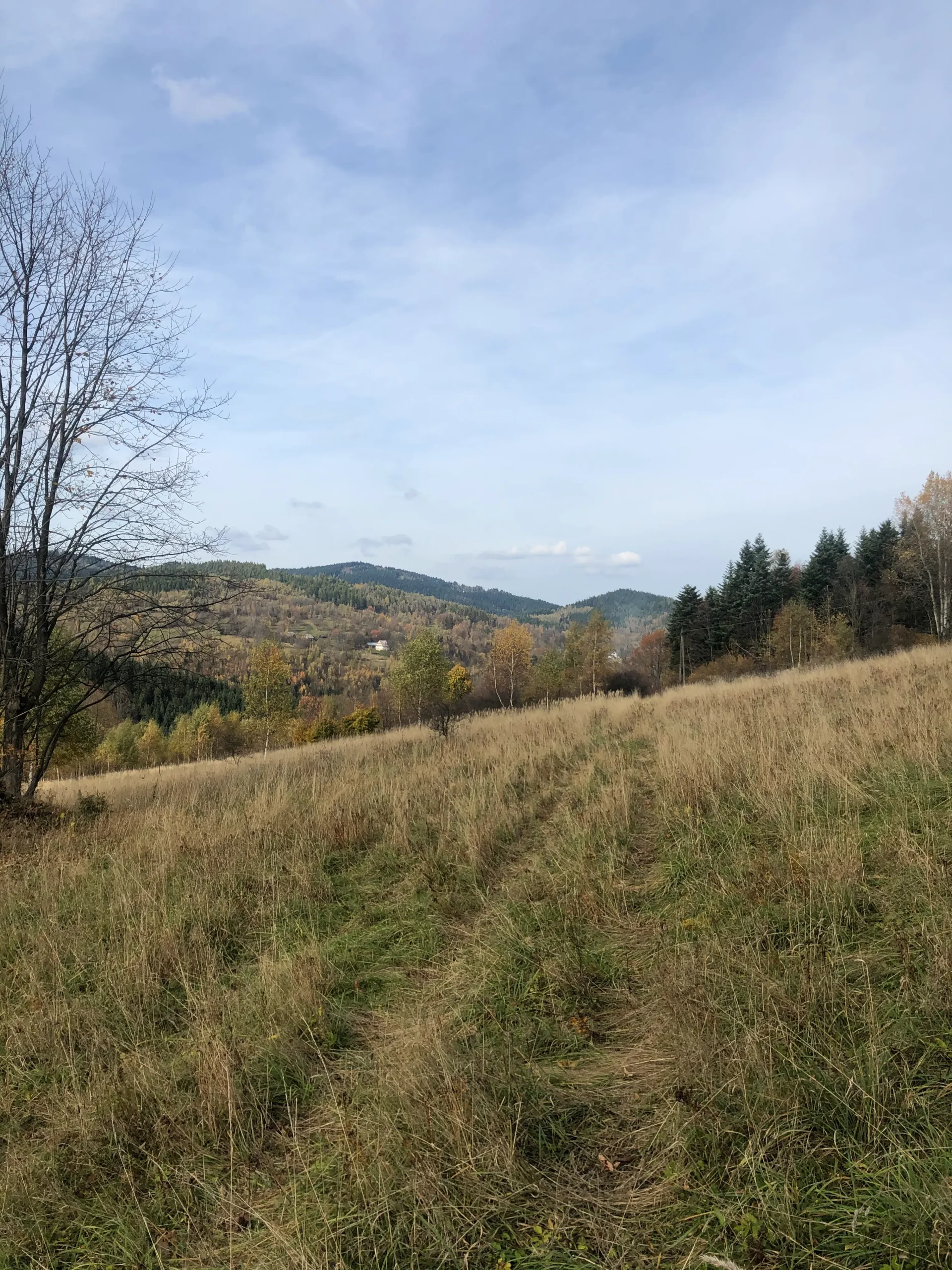 Działka inwestycyjna Zawoja — widok na góry jesienią